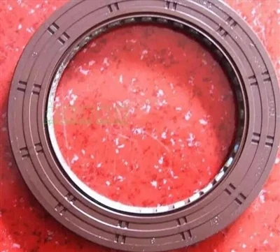 What causes oil seal leakage in trucks?